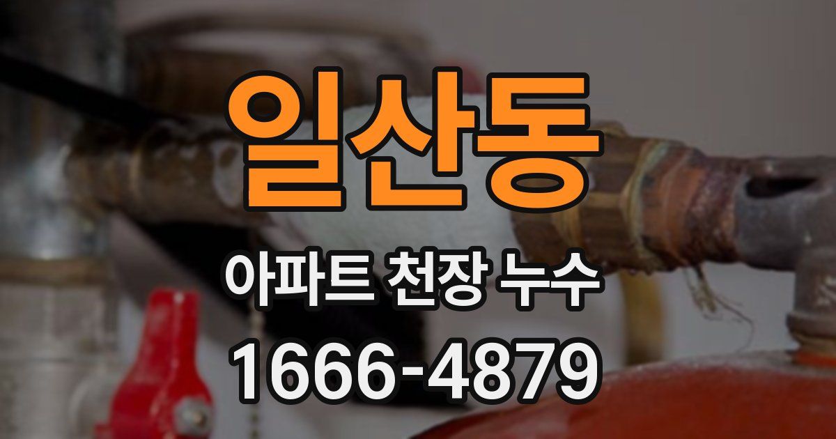 일산동 아파트 천장 누수