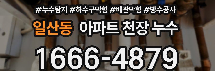 일산동 아파트 천장 누수