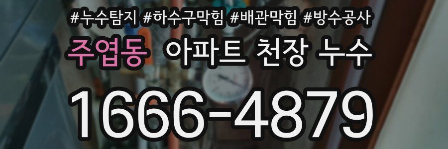 주엽동 아파트 천장 누수