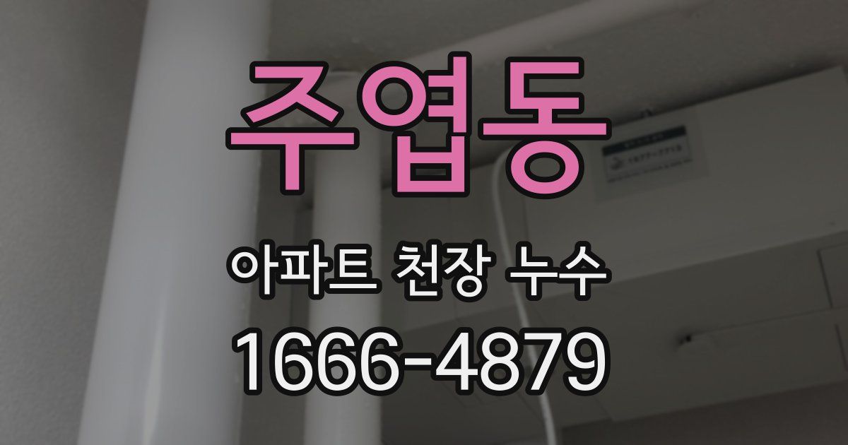 주엽동 아파트 천장 누수
