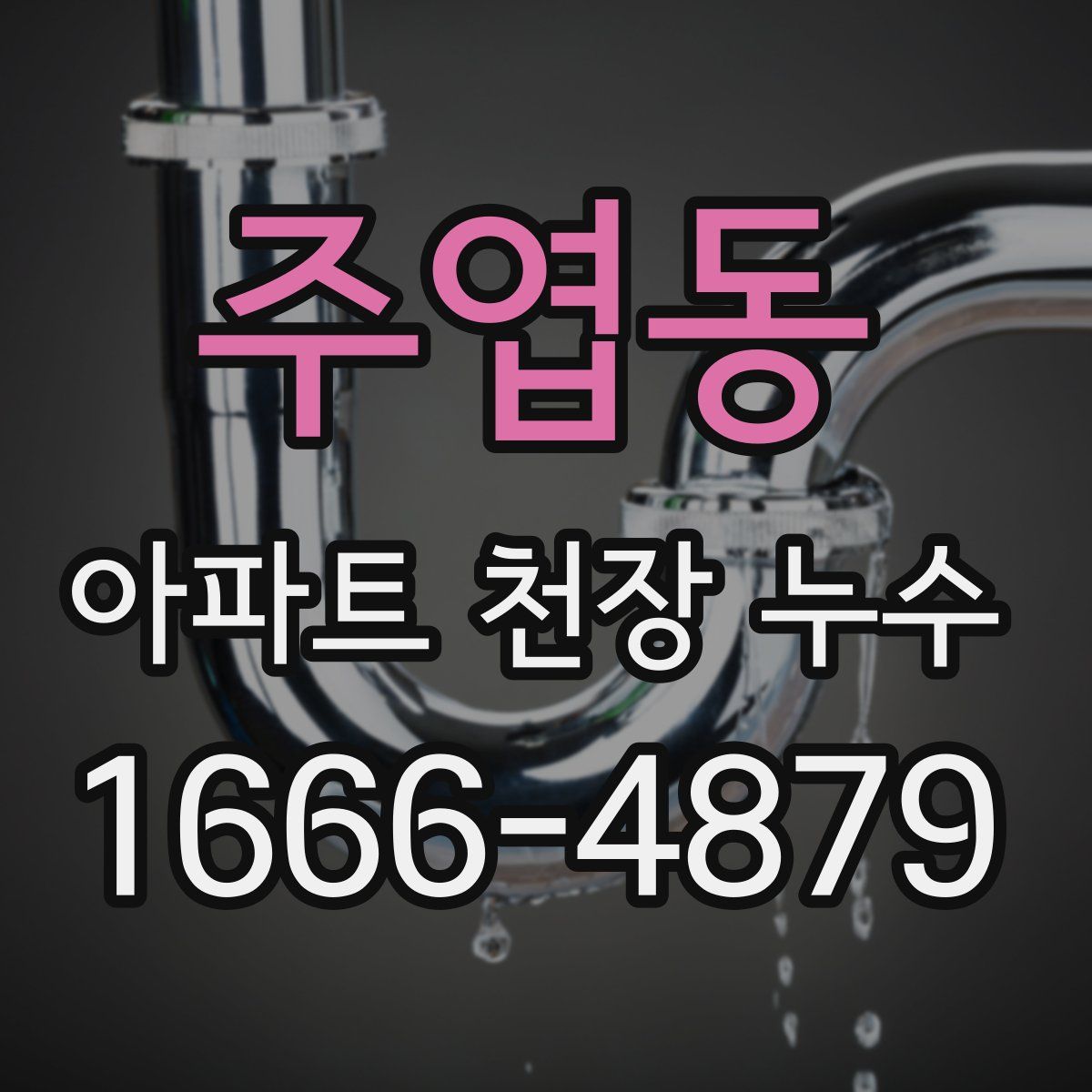 주엽동 아파트 천장 누수