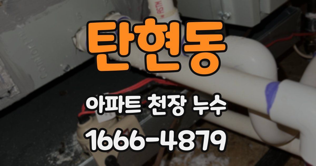 탄현동 아파트 천장 누수