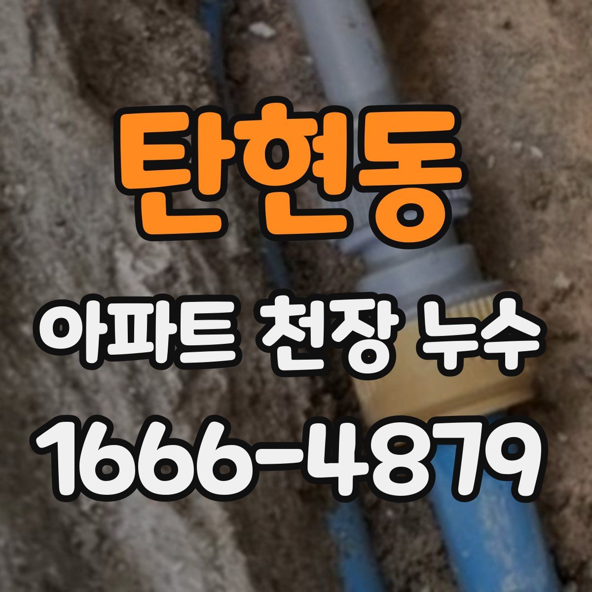 탄현동 아파트 천장 누수