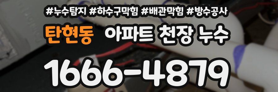 탄현동 아파트 천장 누수