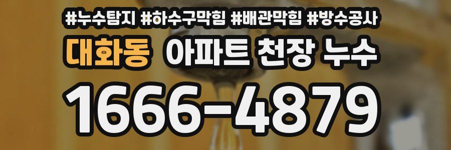 대화동 아파트 천장 누수