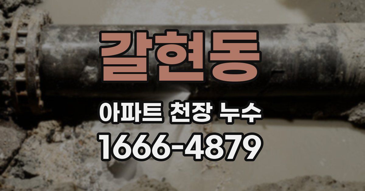 갈현동 아파트 천장 누수