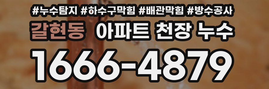 갈현동 아파트 천장 누수