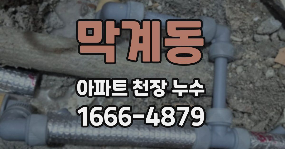 막계동 아파트 천장 누수