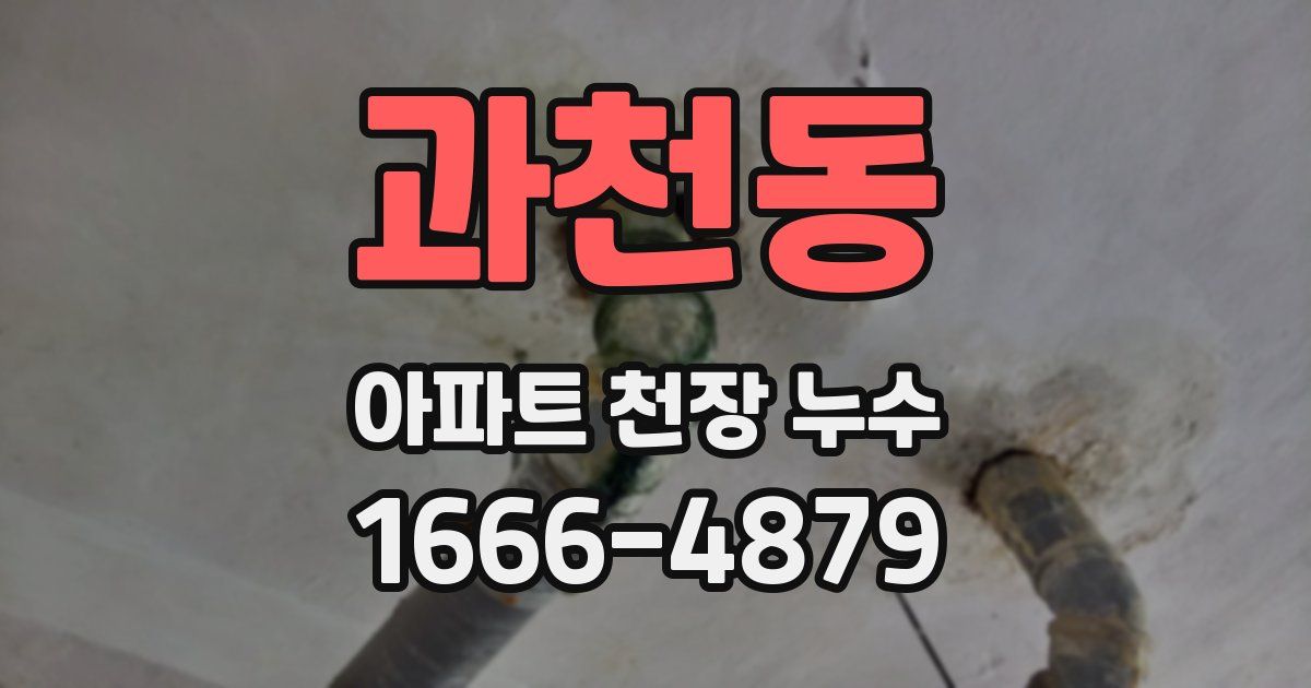 과천동 아파트 천장 누수