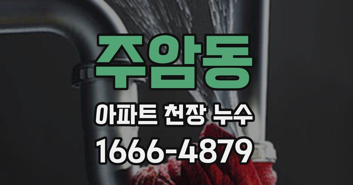 주암동 아파트 천장 누수