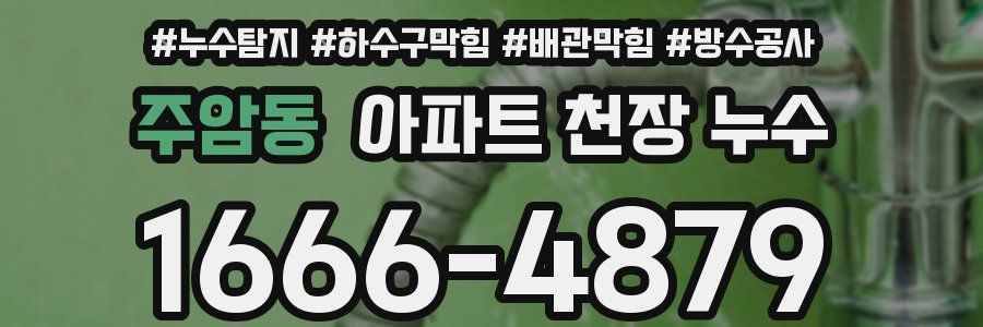 주암동 아파트 천장 누수
