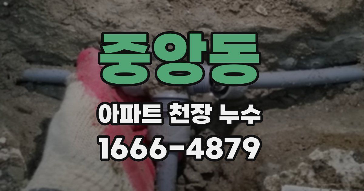 중앙동 아파트 천장 누수