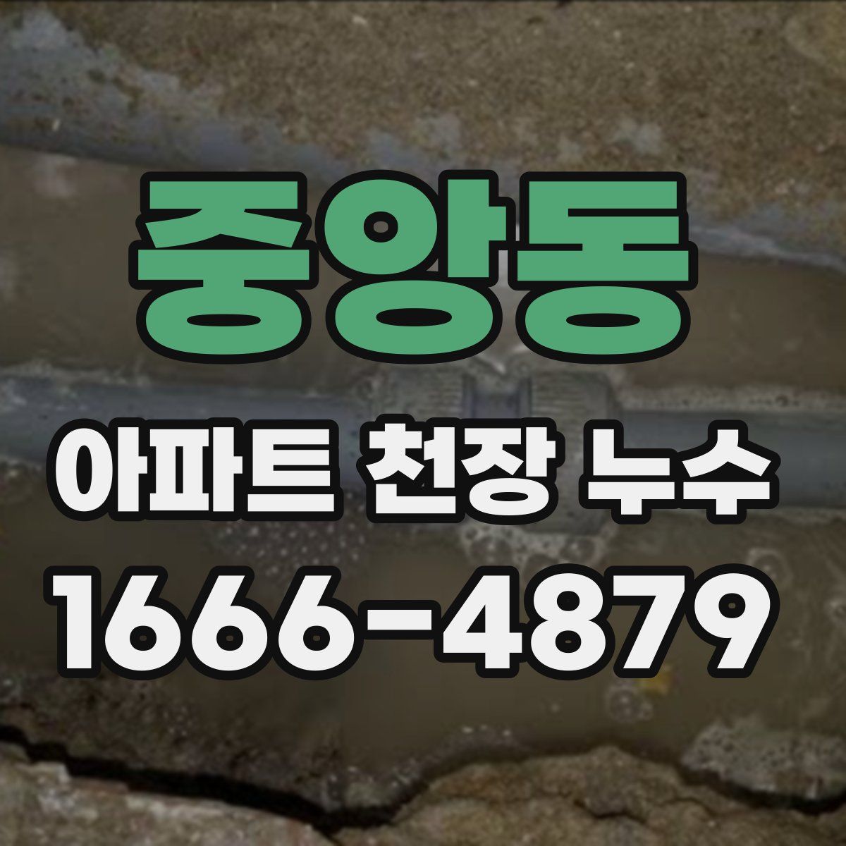 중앙동 아파트 천장 누수