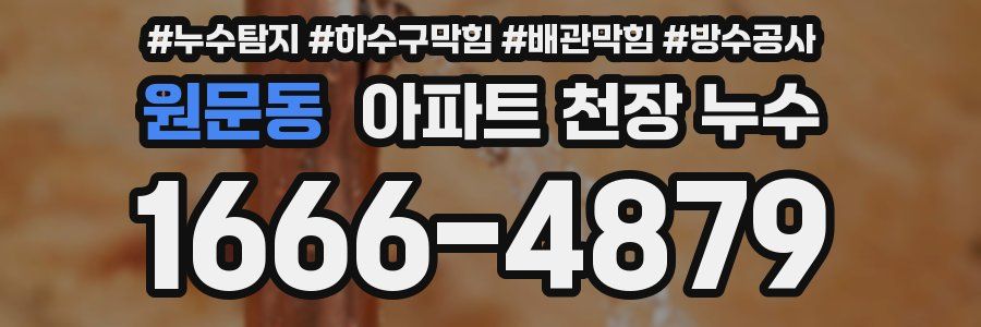 원문동 아파트 천장 누수