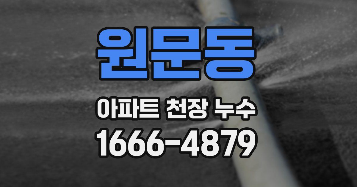 원문동 아파트 천장 누수