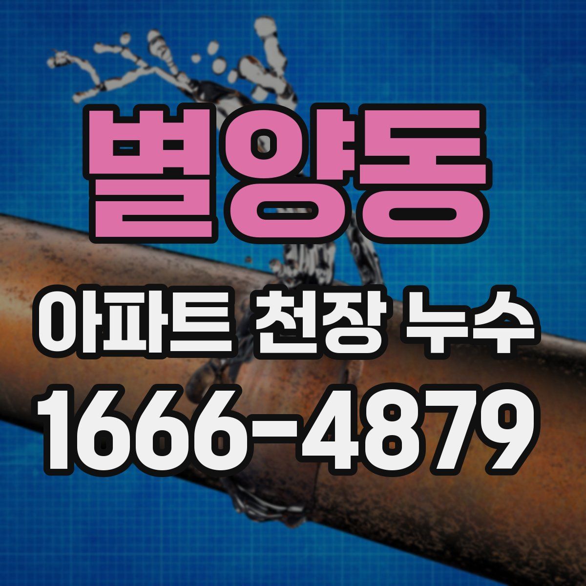 별양동 아파트 천장 누수