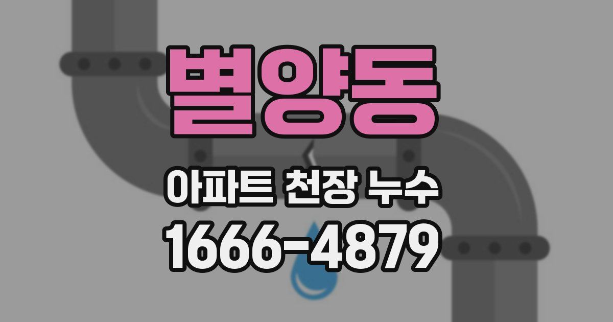 별양동 아파트 천장 누수