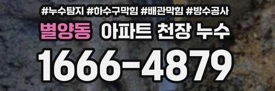 별양동 아파트 천장 누수