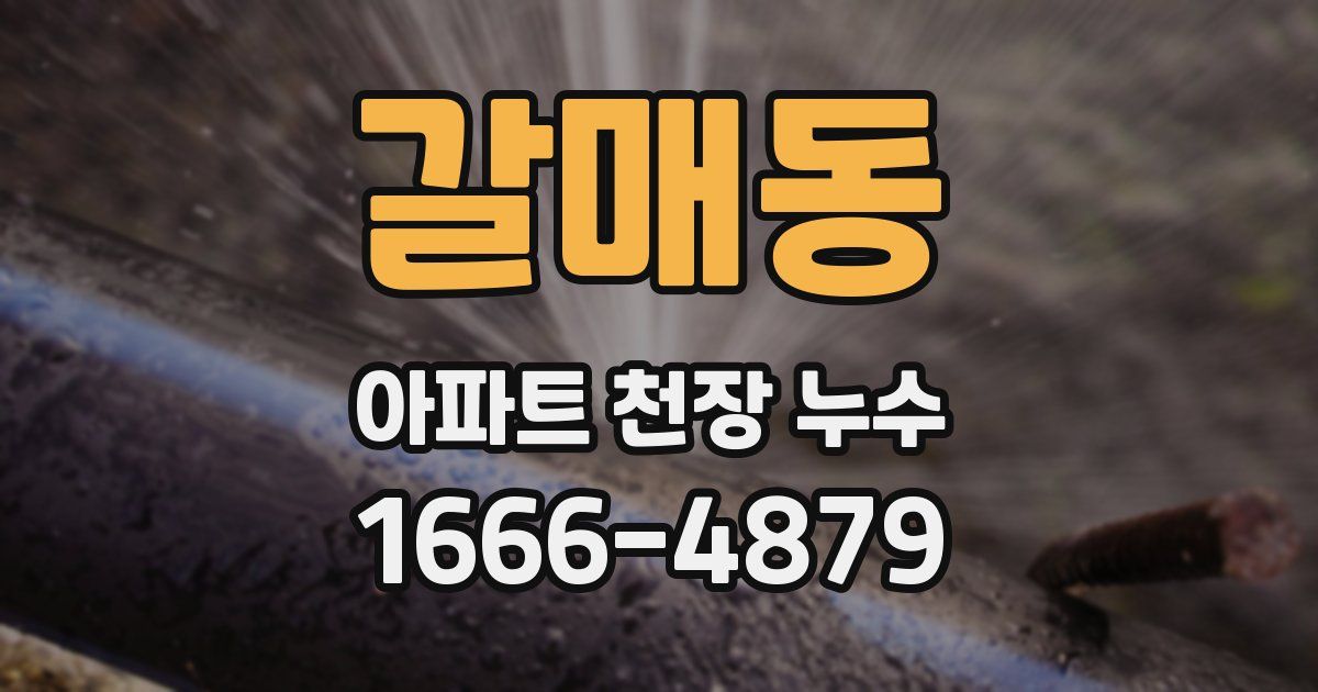 갈매동 아파트 천장 누수