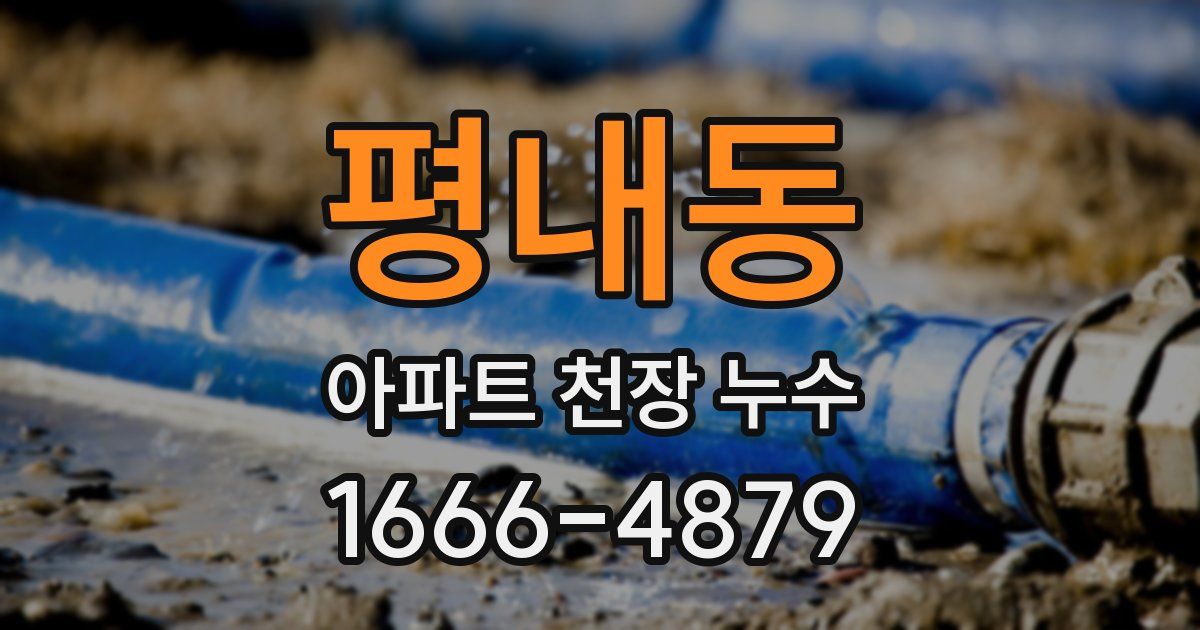 평내동 아파트 천장 누수