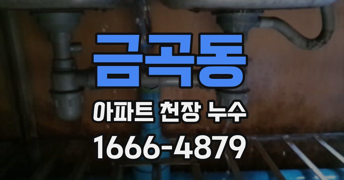 금곡동 아파트 천장 누수