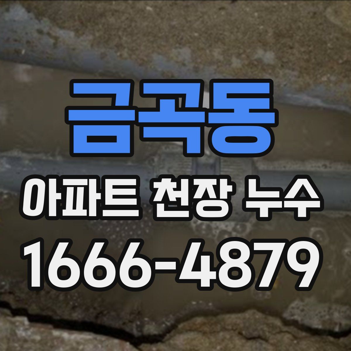 금곡동 아파트 천장 누수