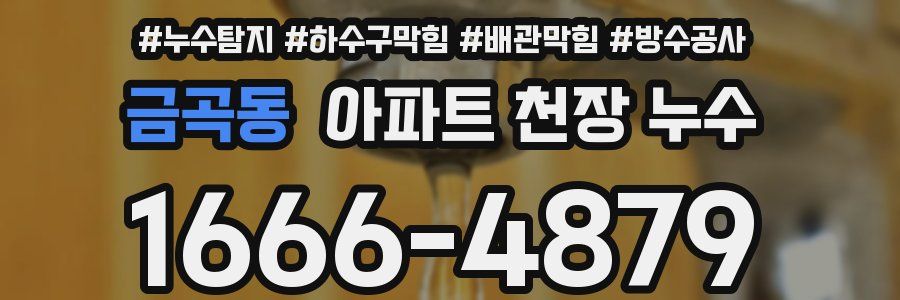 금곡동 아파트 천장 누수