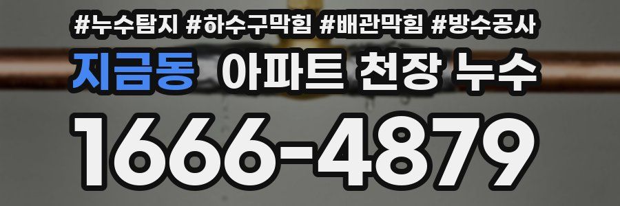지금동 아파트 천장 누수