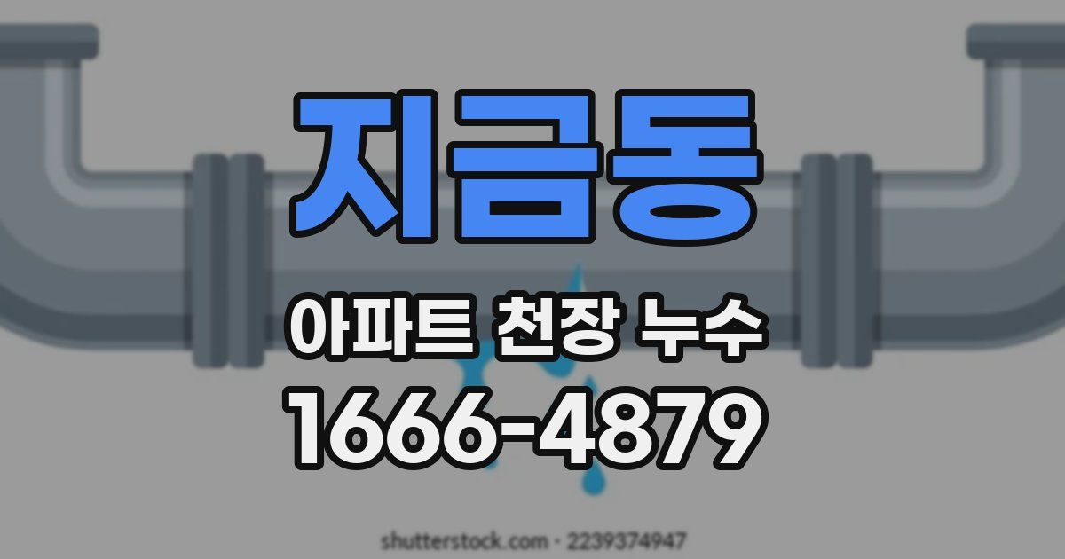 지금동 아파트 천장 누수