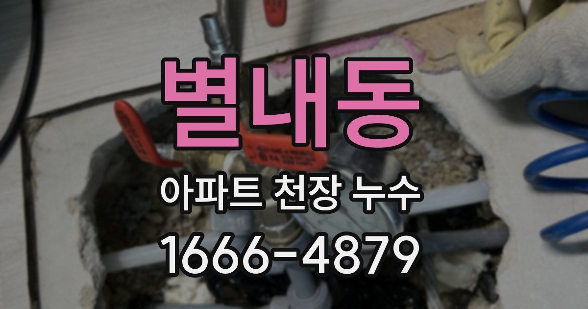 별내동 아파트 천장 누수