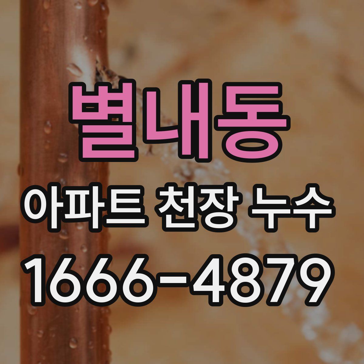 별내동 아파트 천장 누수
