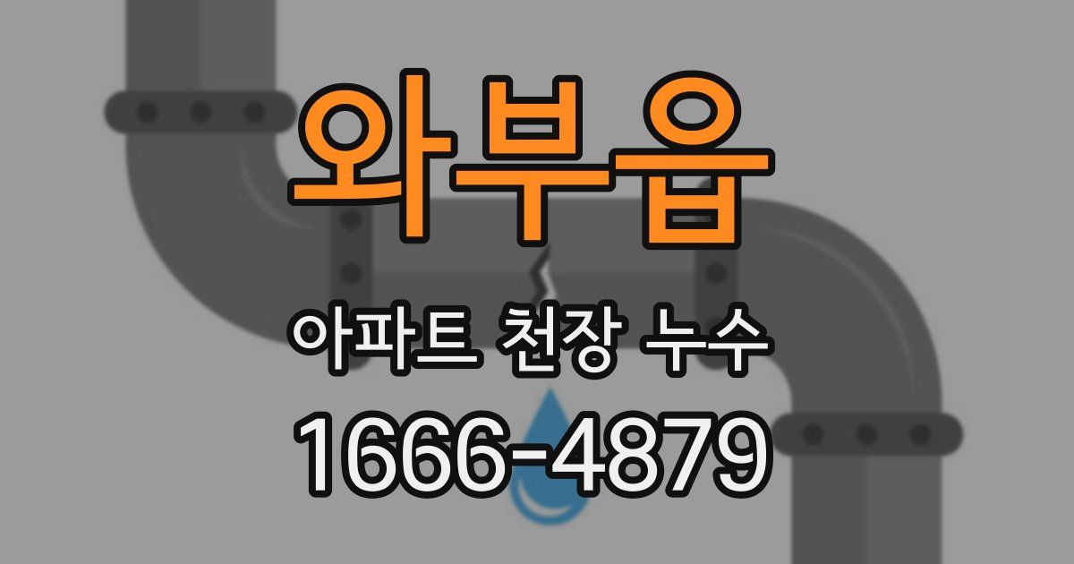 와부읍 아파트 천장 누수