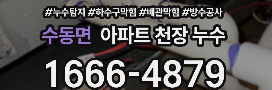 수동면 아파트 천장 누수