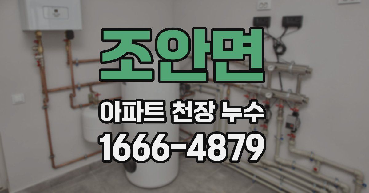 조안면 아파트 천장 누수
