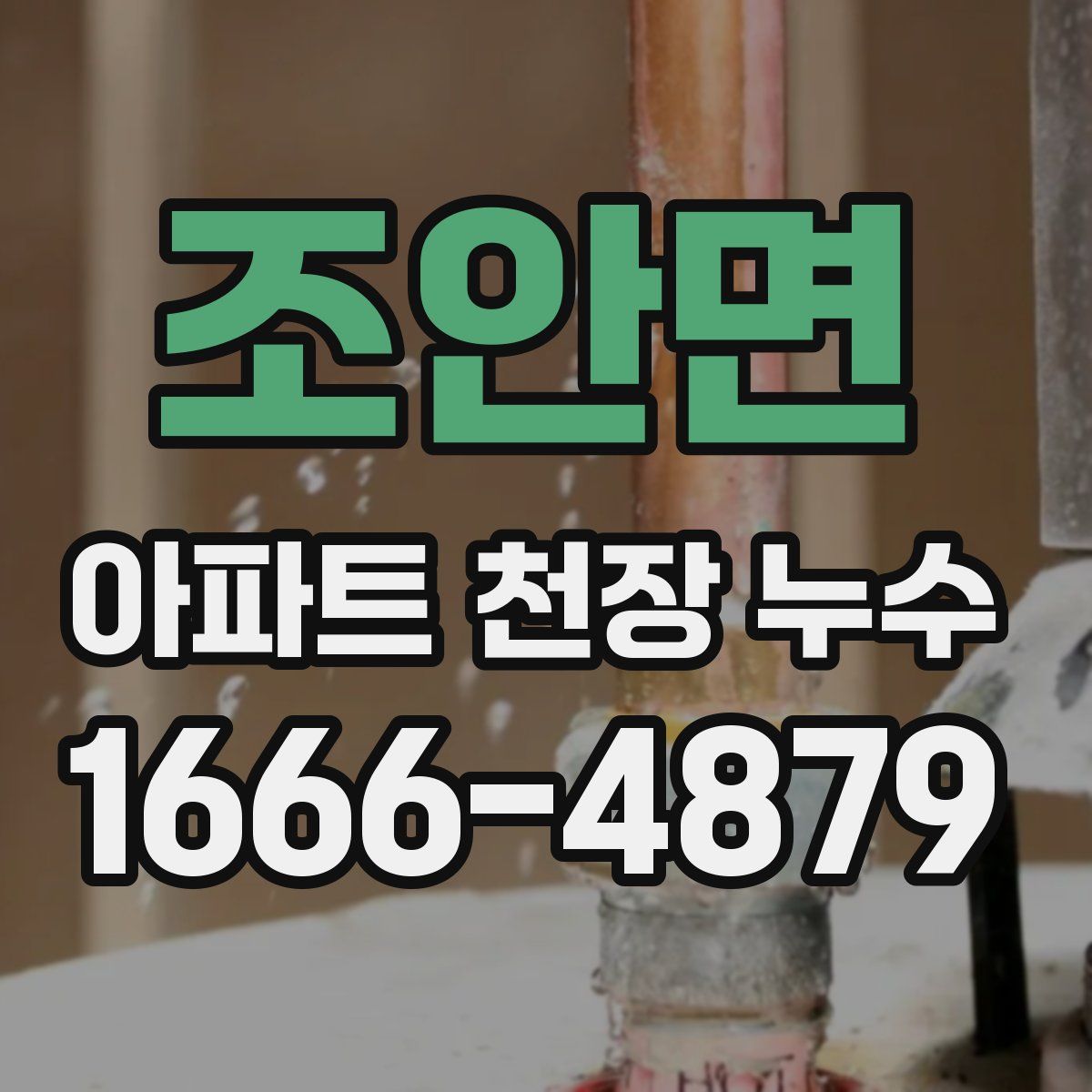 조안면 아파트 천장 누수