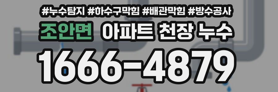 조안면 아파트 천장 누수