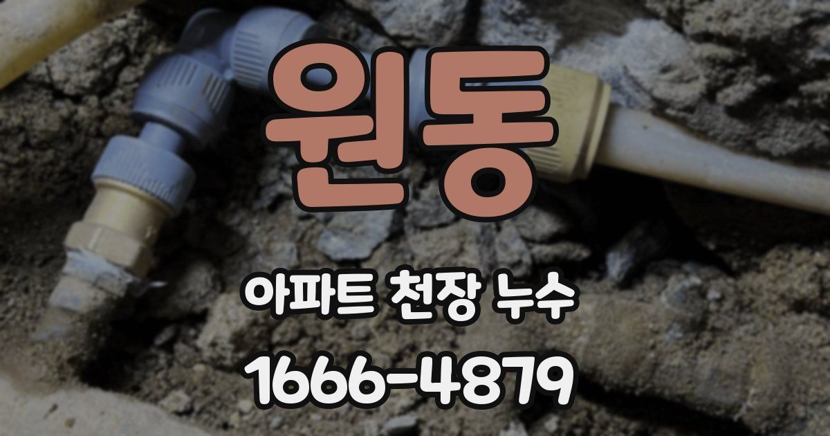 원동 아파트 천장 누수