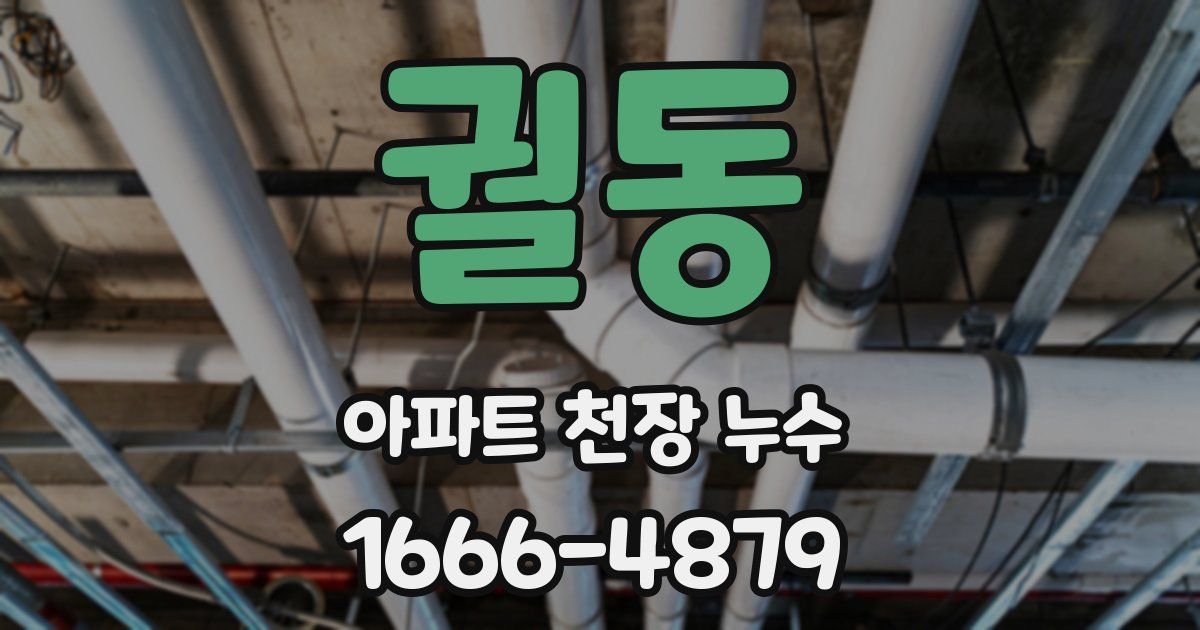 궐동 아파트 천장 누수