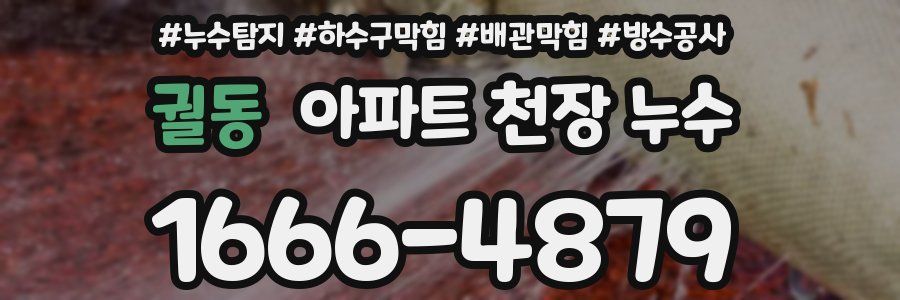 궐동 아파트 천장 누수