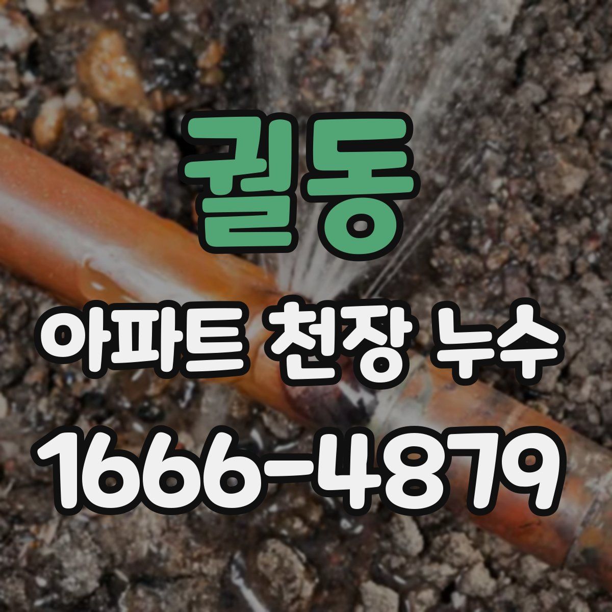 궐동 아파트 천장 누수