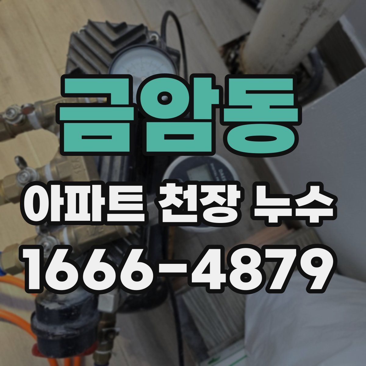 금암동 아파트 천장 누수