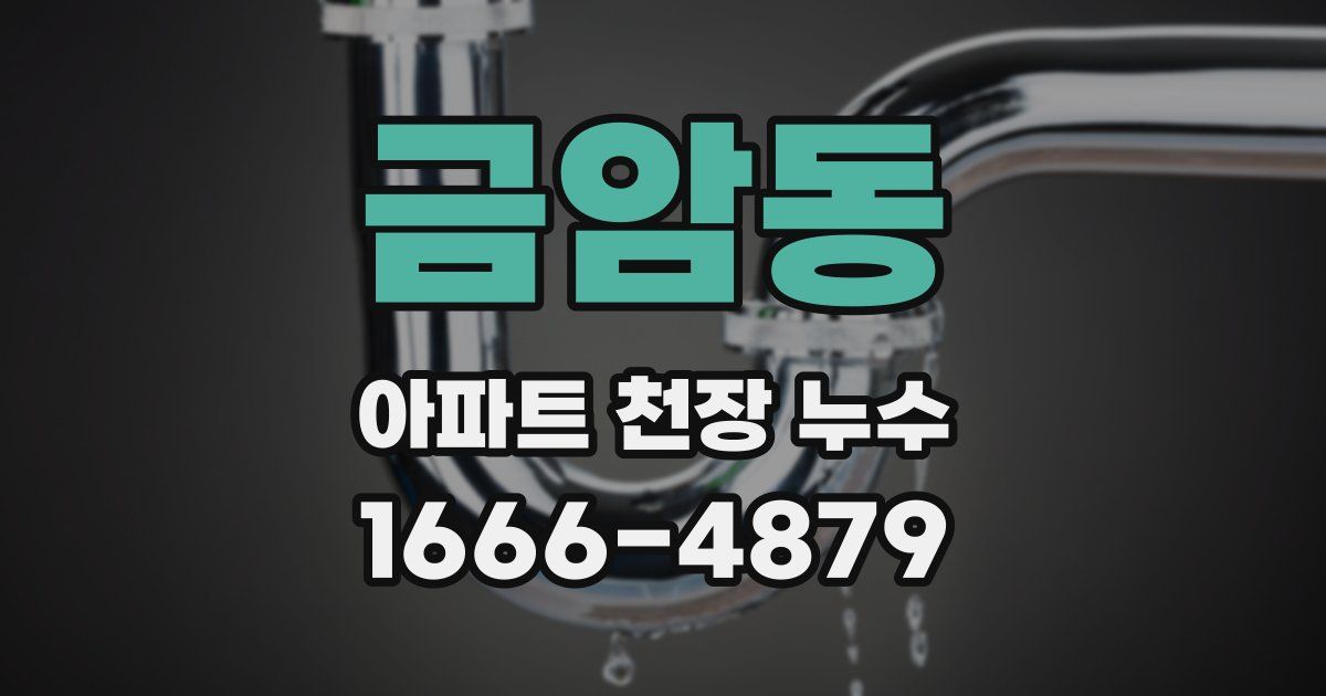 금암동 아파트 천장 누수
