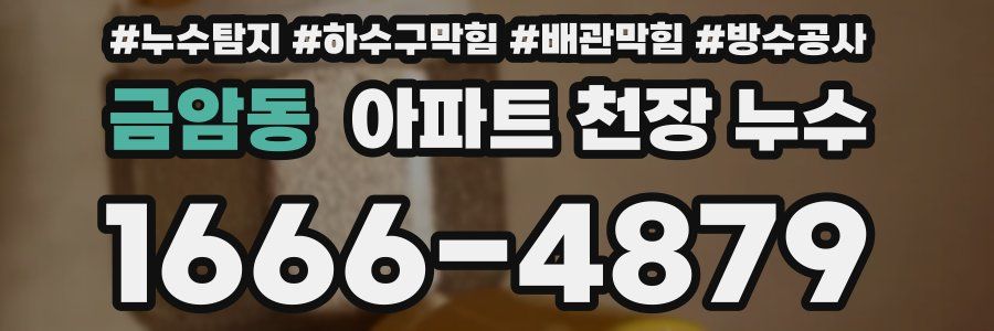 금암동 아파트 천장 누수