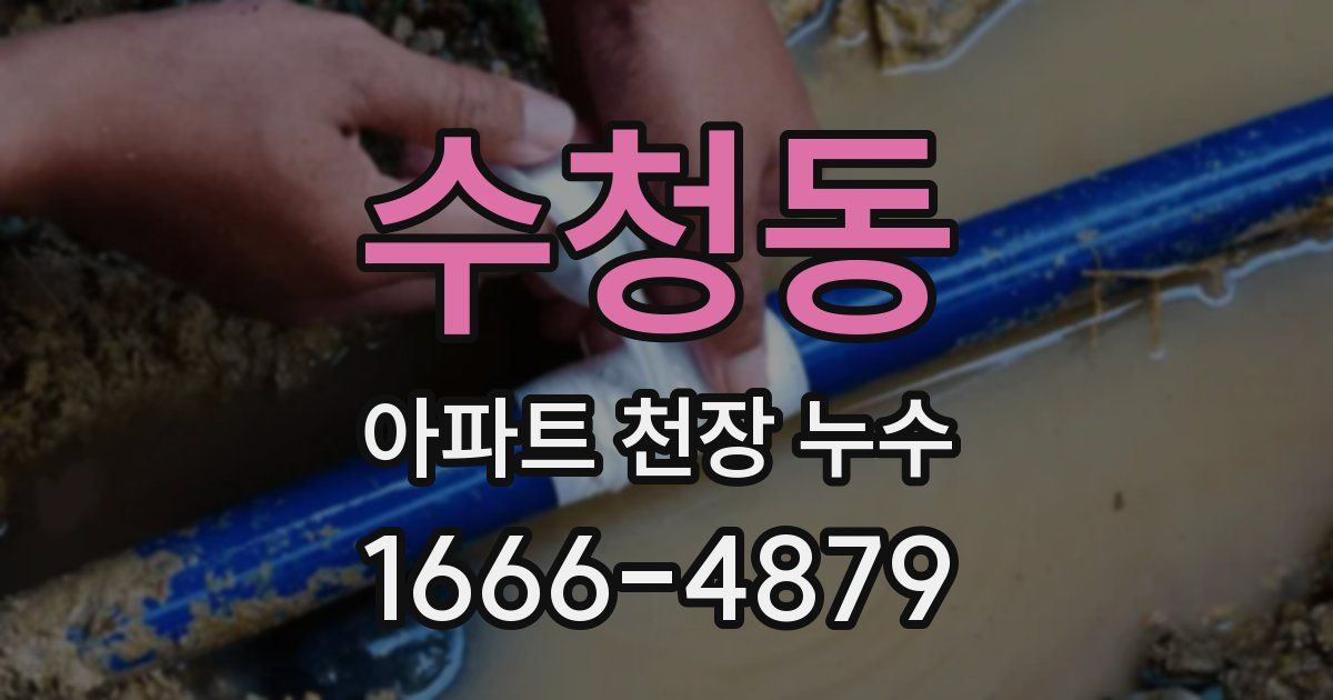 수청동 아파트 천장 누수