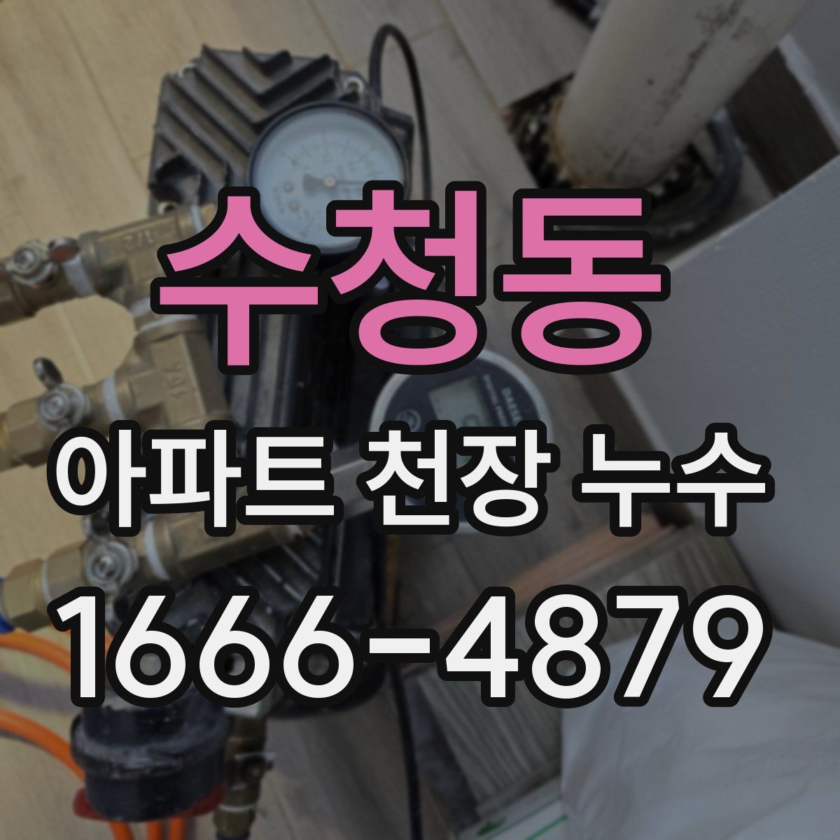 수청동 아파트 천장 누수