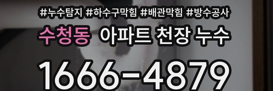 수청동 아파트 천장 누수
