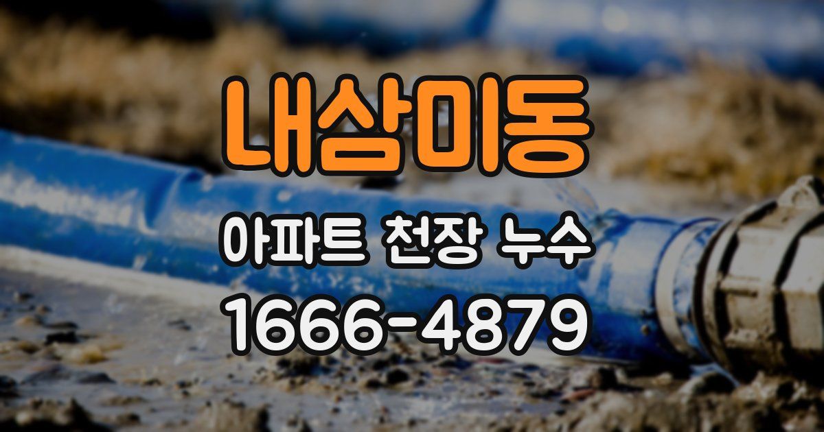 내삼미동 아파트 천장 누수