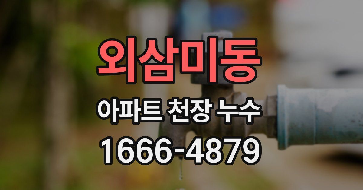외삼미동 아파트 천장 누수