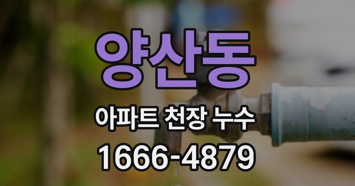 양산동 아파트 천장 누수