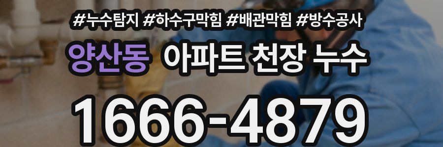 양산동 아파트 천장 누수